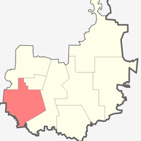 Borskoye rural settlement