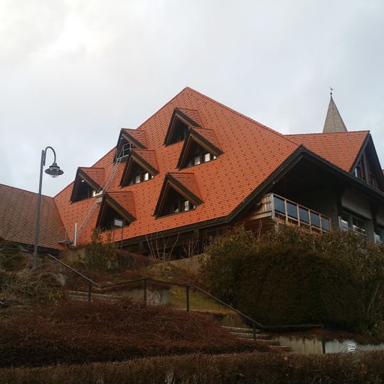 Black Forest of the Senses