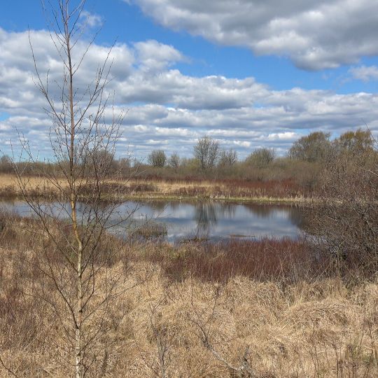 Ahrenviölfelder Westermoor