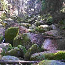 Girnitz-Bachlauf im NSG Doost SE von Gollwitzerhof