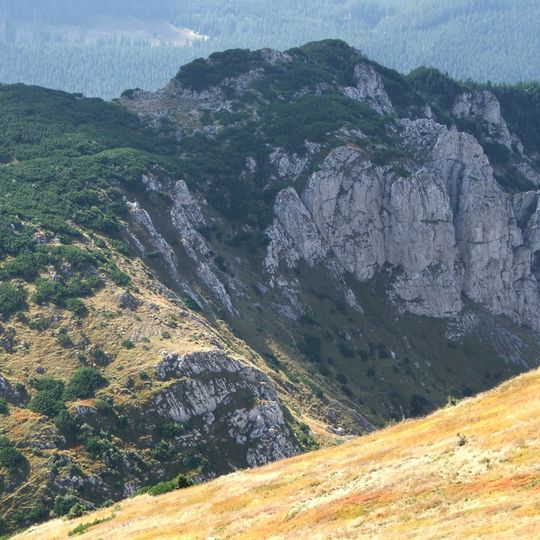 Tomanowy Niedźwiedź