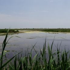 Neusiedler See-Seewinkel National Park