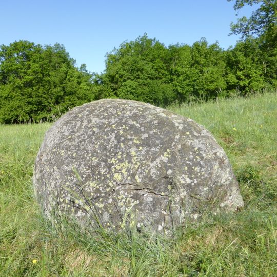 Schalensteine von Billième