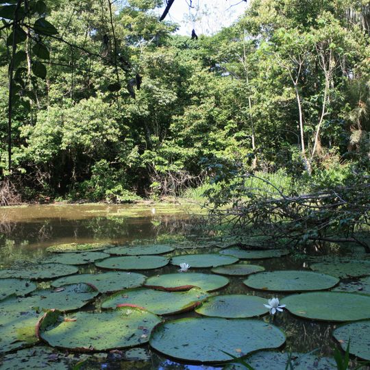 Mamirauá Sustainable Development Reserve