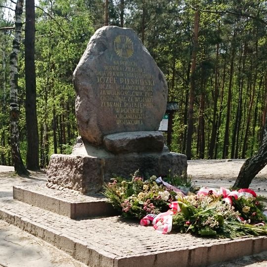 Kamień Piłsudskiego w Wesołej