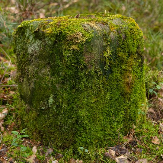 Grenzstein Fürther Stadtwald in Fürth