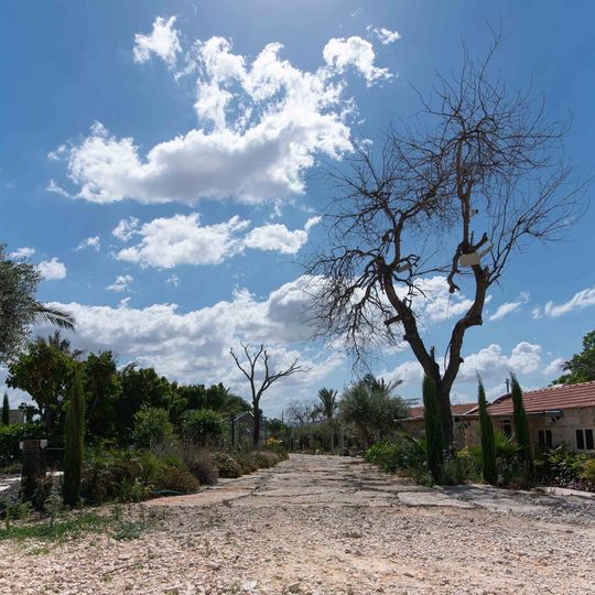 Rabbit Village at Neger Farm