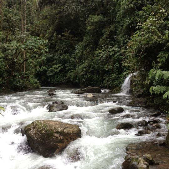 Bosque Protector Mindo-Nambillo