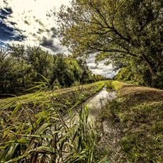 Oasi di riequilibrio ecologico del "Torrazzolo"