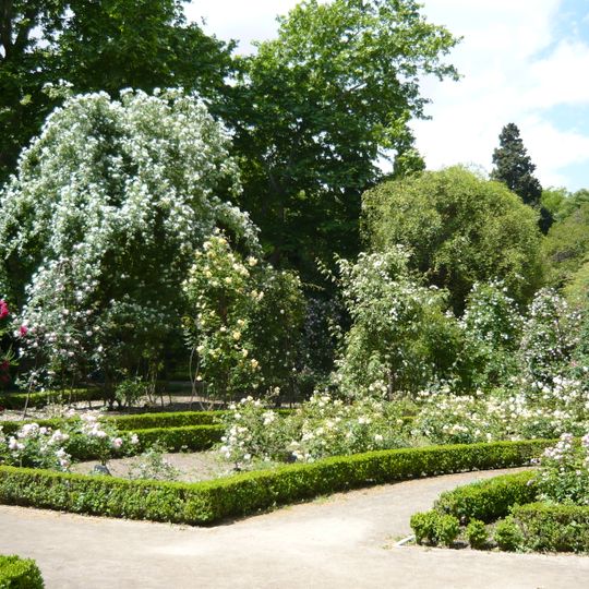 Rosaleda del Real jardín botánico de Madrid