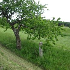 Boží muka západně od Defurových Lažan