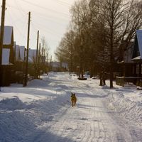 Privalovo, Nizhny Novgorod Oblast