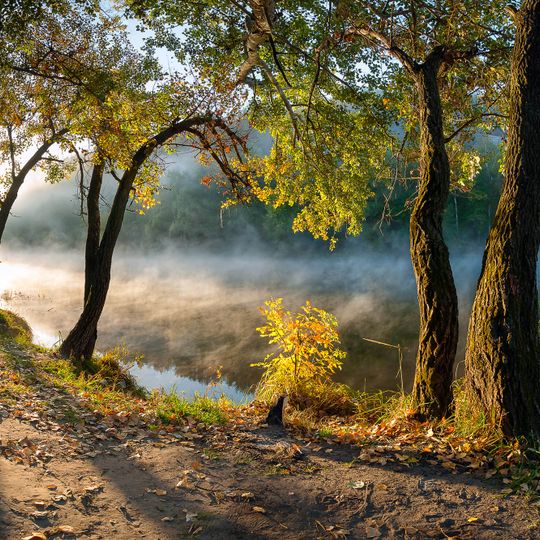 Parc national de Sviasti Hory