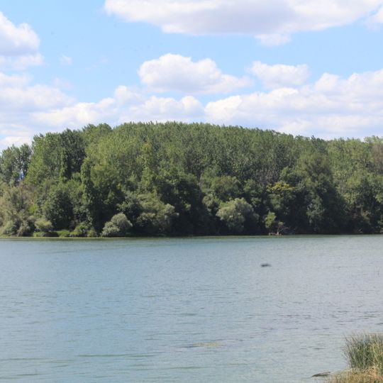 Prairies humides et forêts alluviales du Val de Saône aval