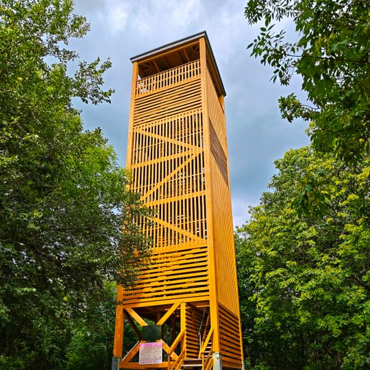 Boldog Mór kilátó