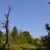 Vyatsko-Polyansky District