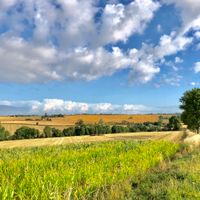 Villers-sur-Auchy