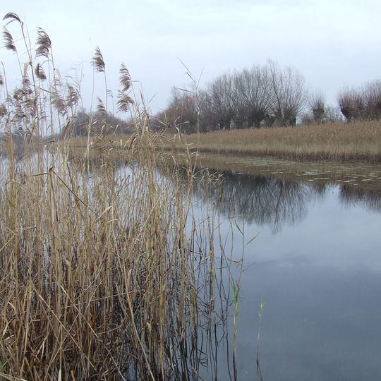 Rezerwat przyrody Jezioro Kiełpińskie