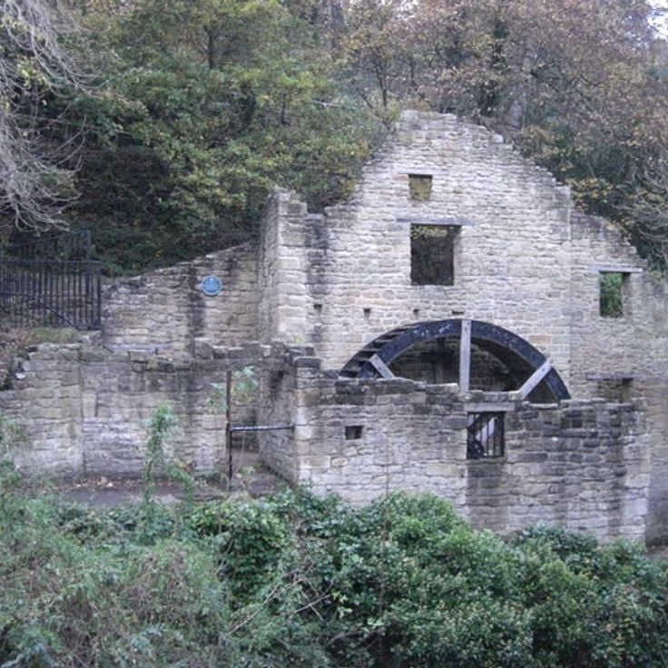 Jesmond Dene