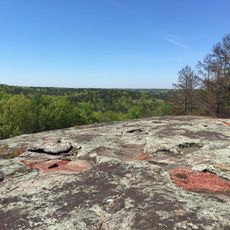 Panola Mountain State Park