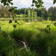 Pennewitzer Teiche-Unteres Wohlrosetal