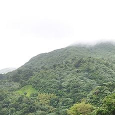 El Yunque National Forest
