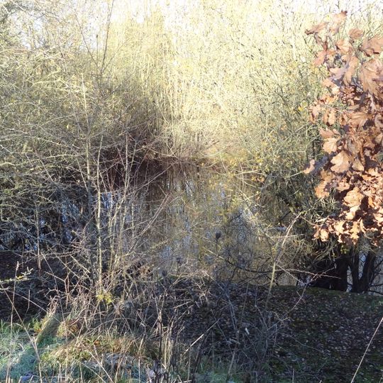 Moor Mill Quarry, West