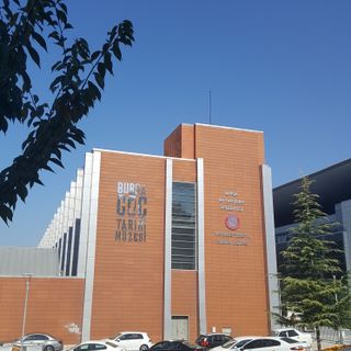 Atatürk Kongre Kültür Merkezi-Merinos