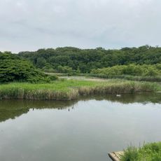 Tenpaku Park