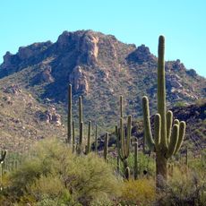Parque nacional Saguaro