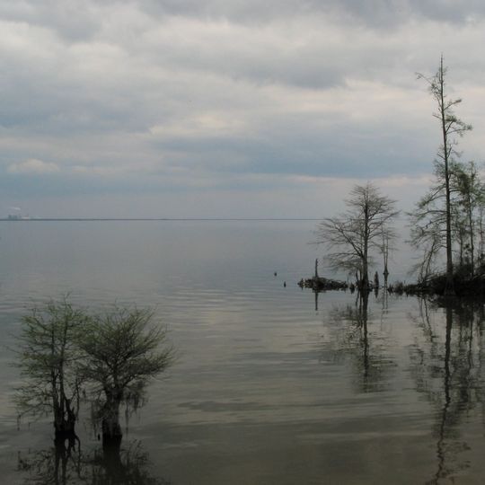 Lake Moultrie