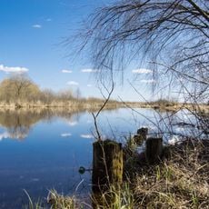 Shchedrogirskyi nature reserve