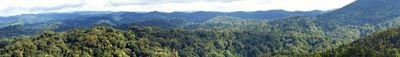Panoramablick 1
