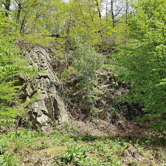 Graywacke rock near Collmberg