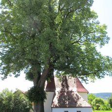 Chapel of Virgin Mary
