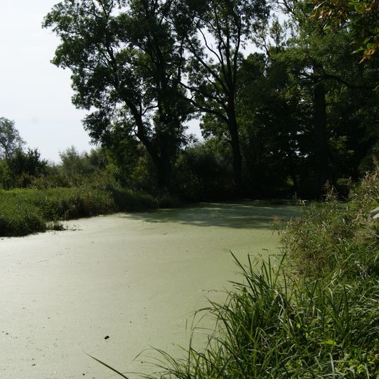 Park, poł. XIX, pocz