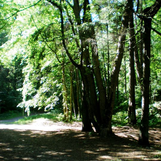 Regionalpark Pavilniai
