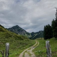 Steintraithen