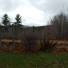 Apple Hill Center for Chamber Music