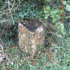 Milepost, NW of Mount Pleasant Farm