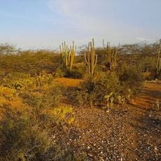 Guajira-Barranquilla xeric scrub