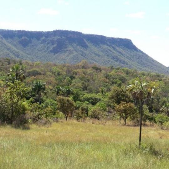 Parque Nacional das Nascentes do Rio Parnaiba
