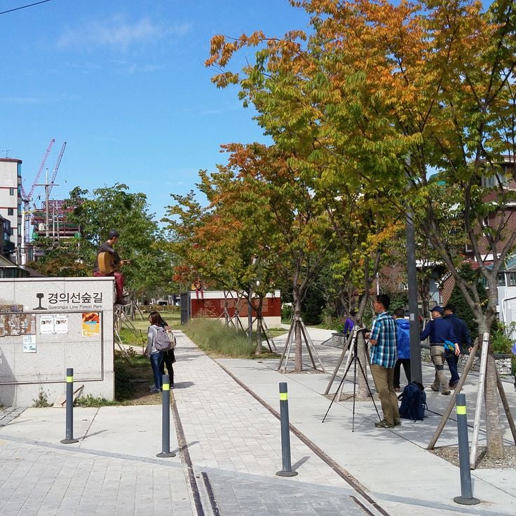 Городской парк Кёнги