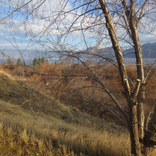 Parc provincial Okanagan Lake