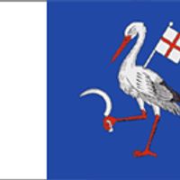 distretto di Telenești