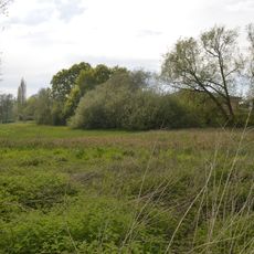Bull Meadow