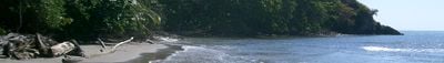 Panoramic View 1