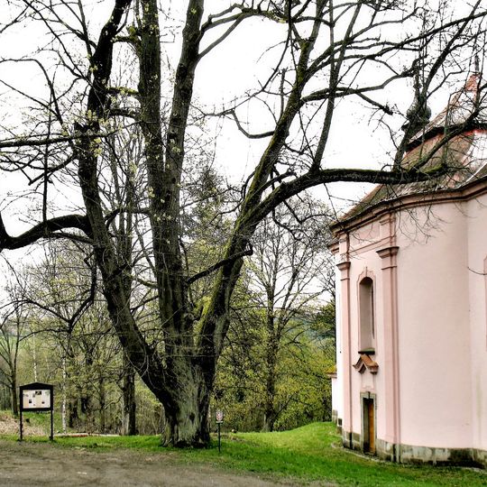Lípa u kaple v Úterý