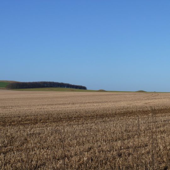 Eleven round barrows 1000m north of Baltic Farm forming part of a barrow cemetery, and a probable enclosed Iron Age farmstead on