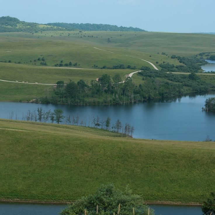 The Wilds